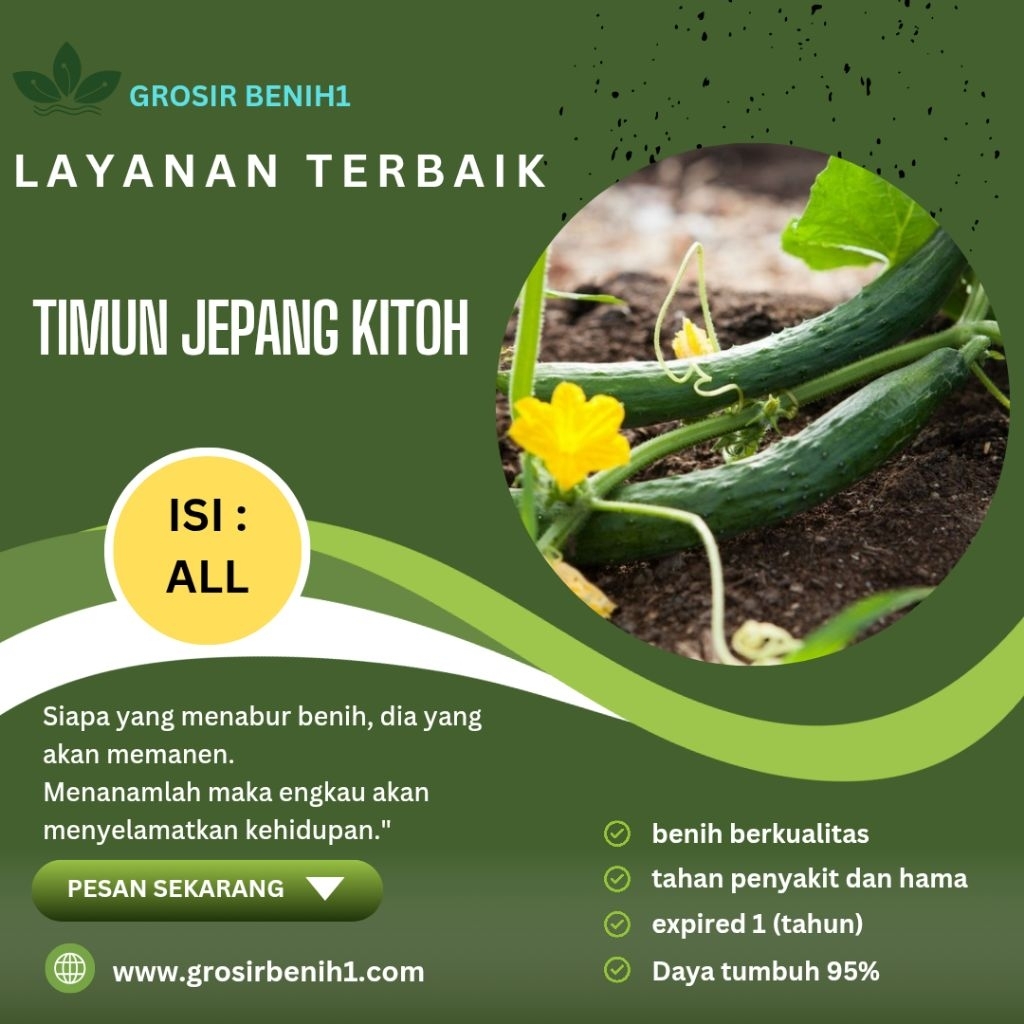 100 biji benih timun jepang kitoh unggul mudah berkecambah>bonus di setiap pembelian