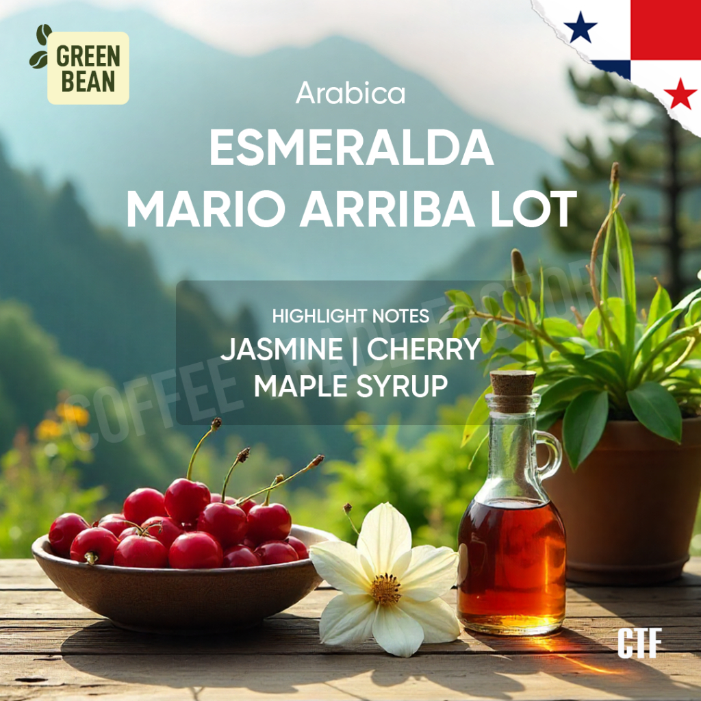 

Green Bean Arabica Esmeralda Mario Arriba Lot Premiun Quality Coffee 200GR