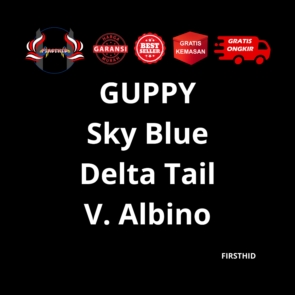 (BEST SELLER) Aksesoris Akuarium GUPPY Albino Sky Blue Topaz Delta Tail penghias kolam