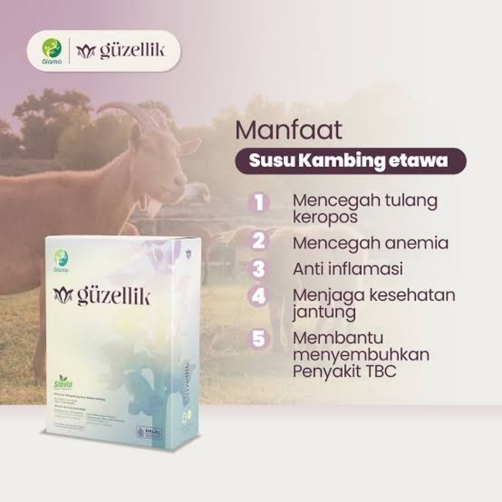 

GUZELIIK SUSU ETAWA MENGANDUNG KOLOSTRUM, KOLAGEN, L GLUTATHIONE, INULIN ,EXTRA MALT ,EXTRA BAYAM, 1 BOX (10 SASCET)