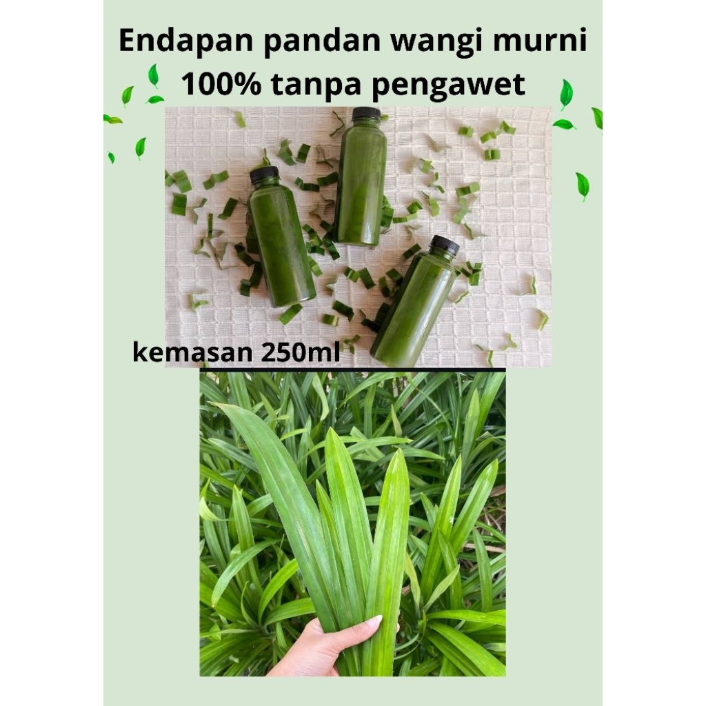 

Endapan Pandan wangi murni 100% 250ml