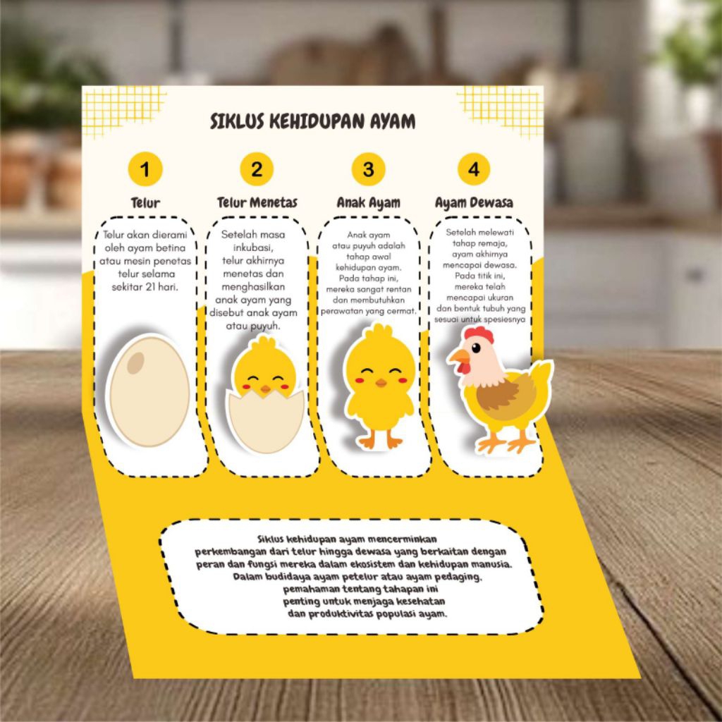 

Template pop up siklus hidup ayam ukuran A4