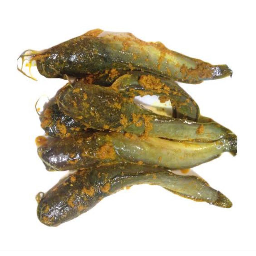 

IKAN LELE MARINASI ADA BONUS MINYAK ⭐⭐⭐⭐⭐