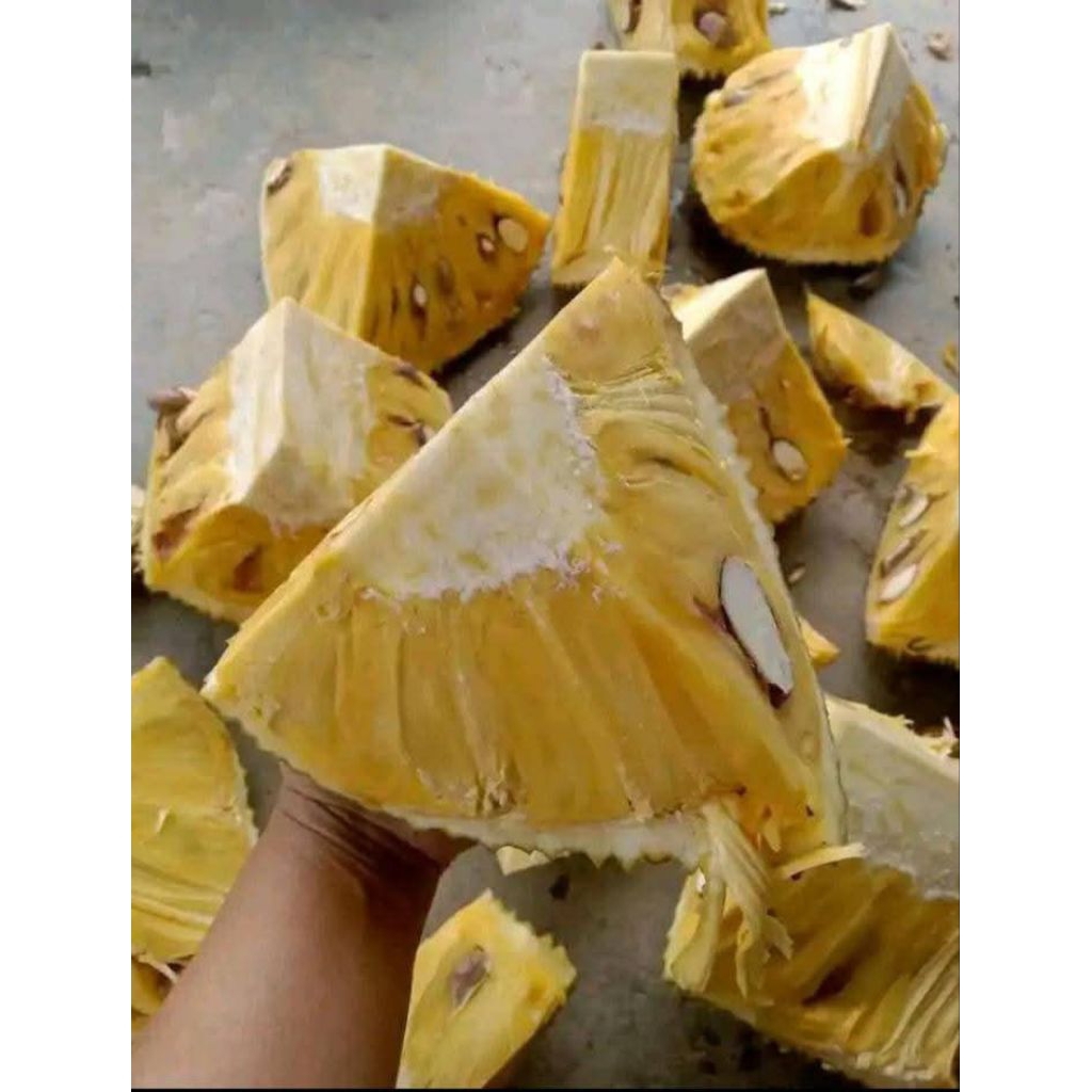 

nangka