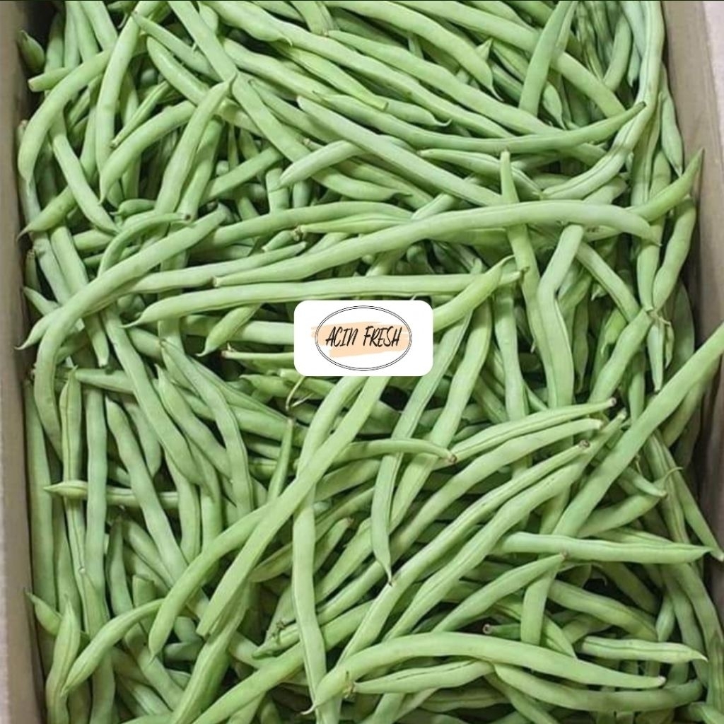 

[BOGOR/CIBINONG] SAYUR BUNCIS 250GR