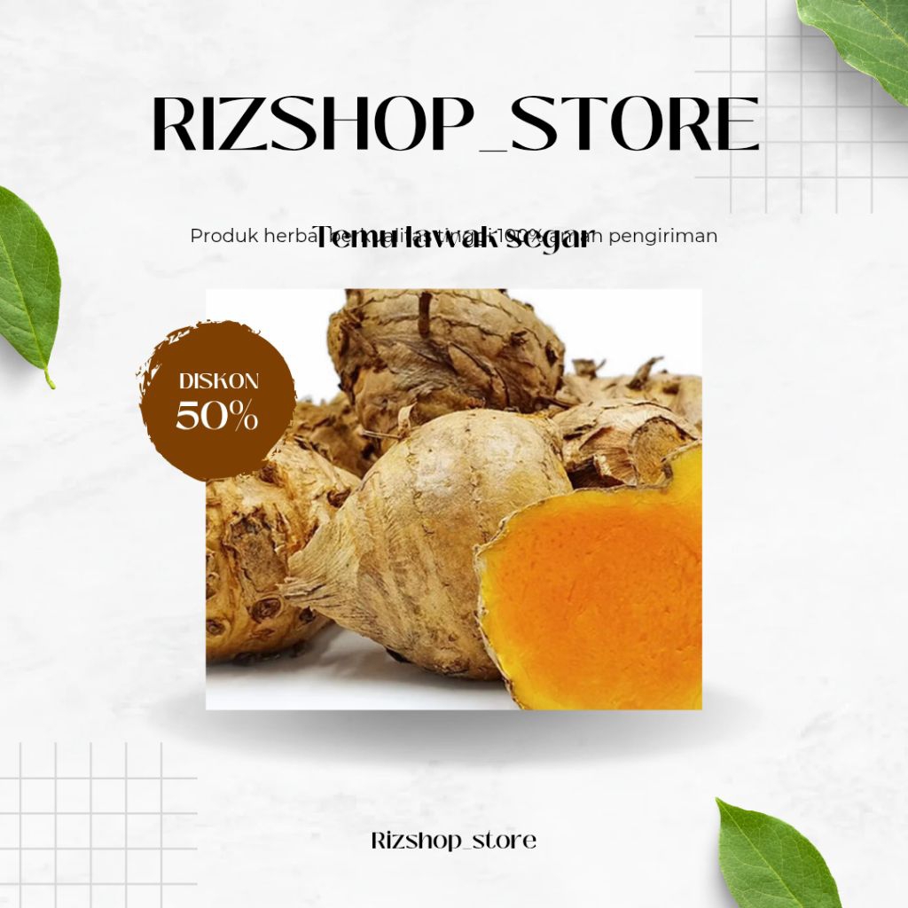 

Temu lawak segar 1 kg bersih