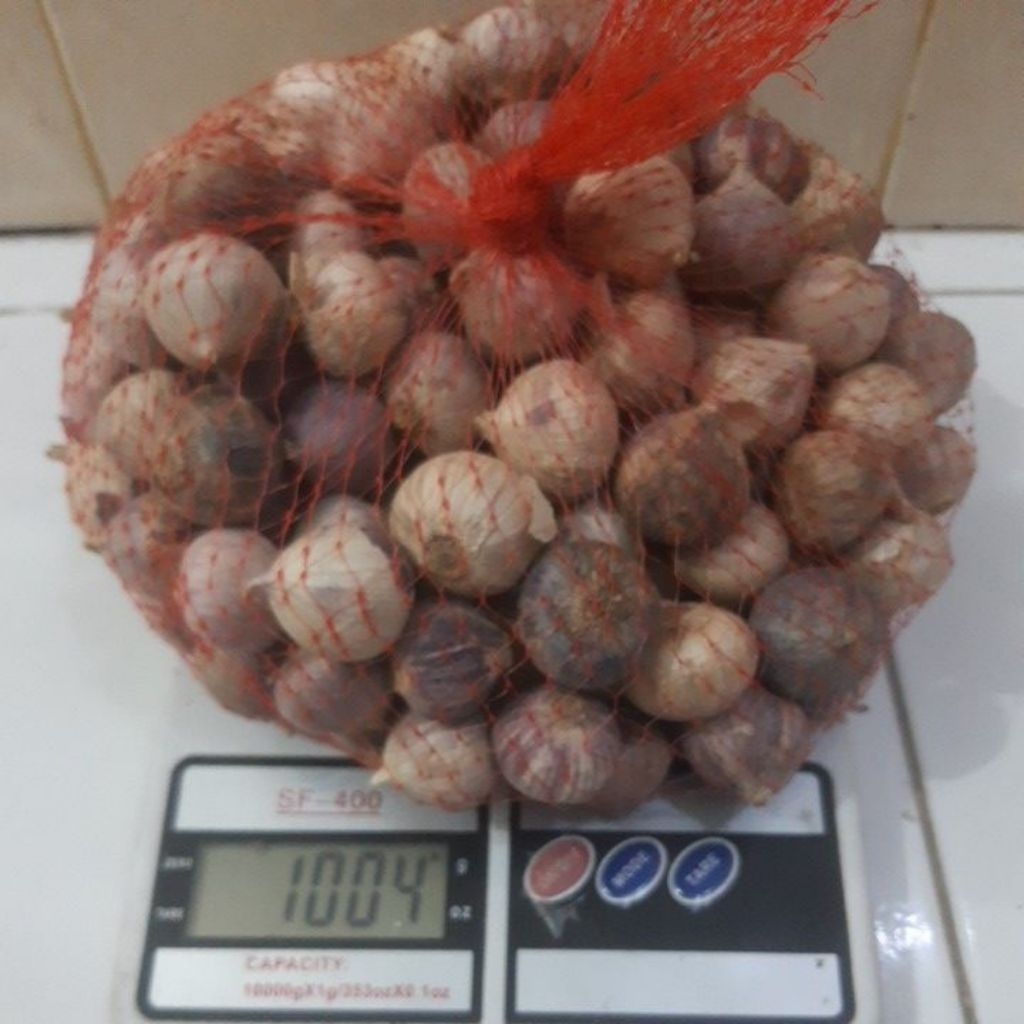 

bawang putih tunggal , bawang lanang besar 250 gr, 500 gr,1000 gr