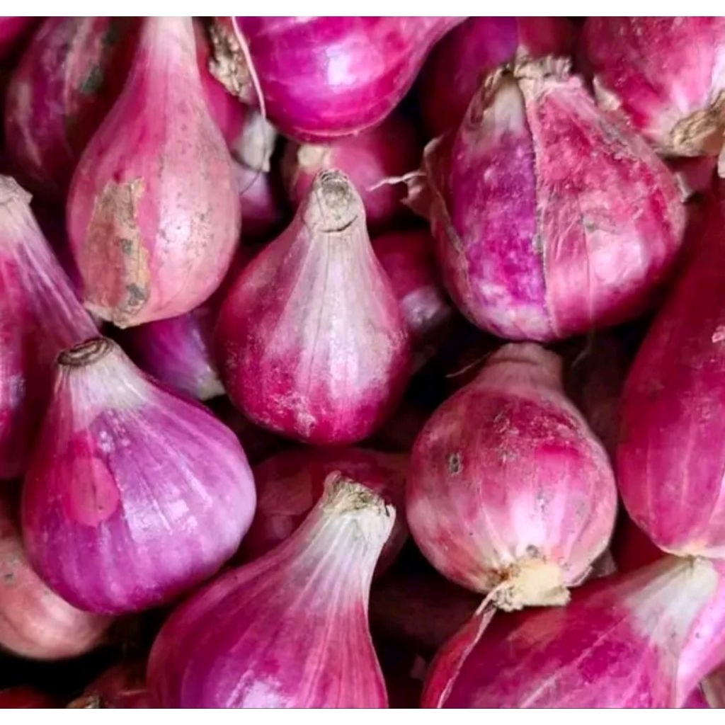 

Bawang Merah Brebes Super kemasan 1 kg dan 1/2 kg