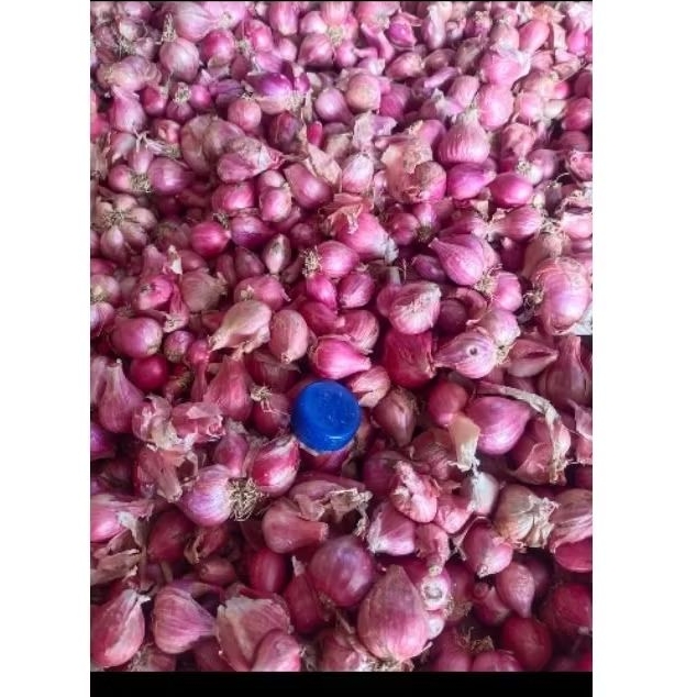 

Bawang Merah SegarBawang Merah Super Brebes 1kg
