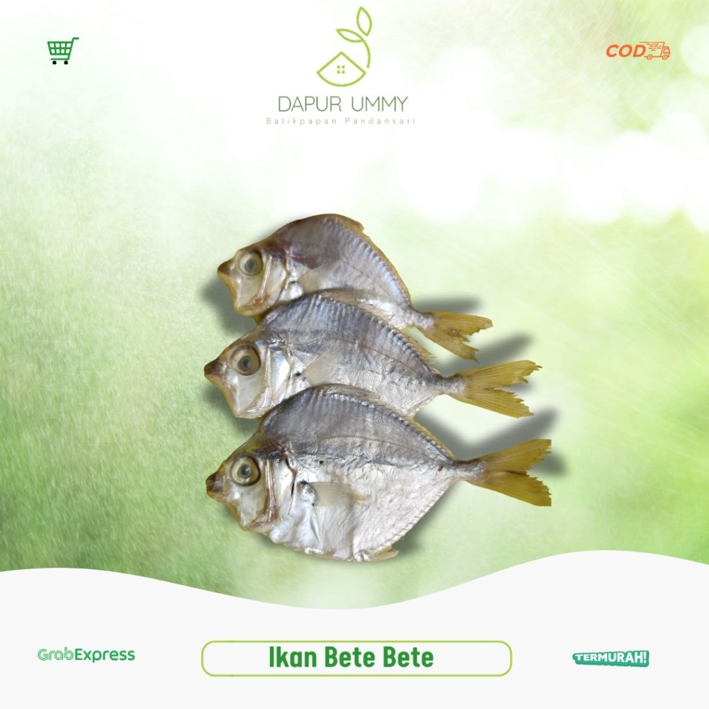 

BETE BETE • Ikan Asin Bete Bete • Ikan kering