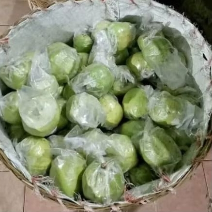 

Jambu kristal 2 kg - Non biji segar petani langsung
