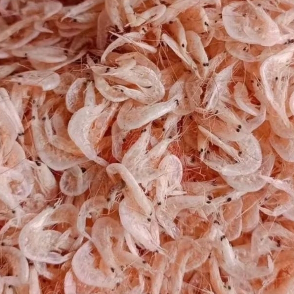 

Ikan rebon super kering ( GARANSI )