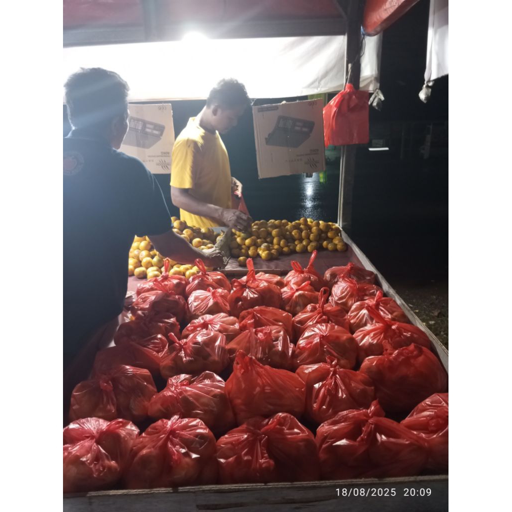 

Jeruk Medan Dr Top dan DTS