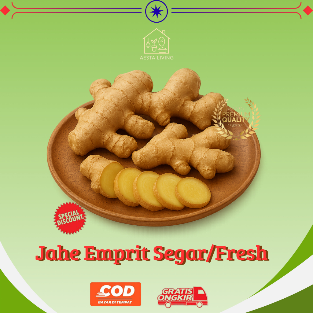 

Jahe Emprit Segar/Fresh – Rempah Sehat Herbal Alami untuk Jamu, Masakan | Rasa Pedas, Zat Tinggi