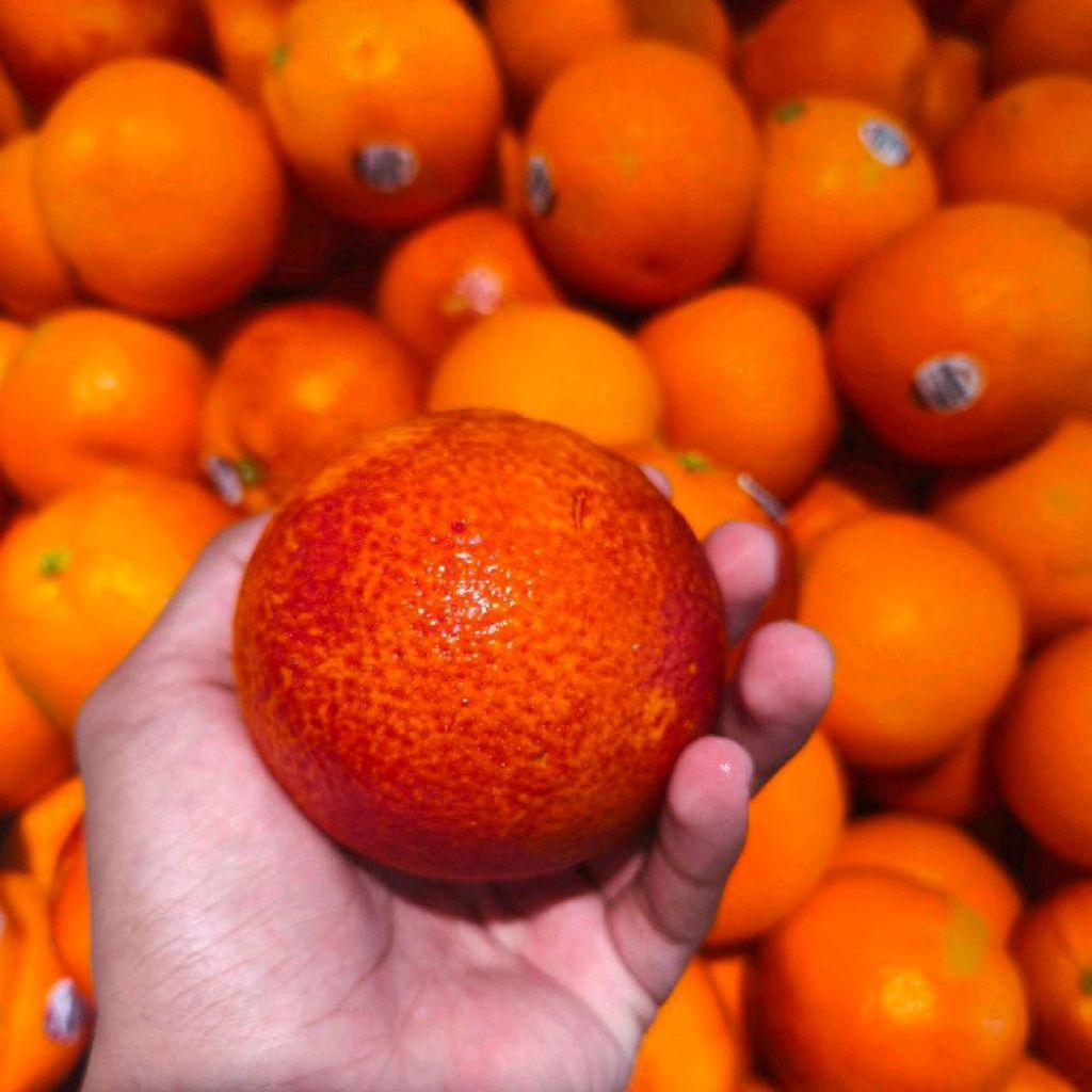 

Buah jeruk navel red blood import jeruk merah Australia segar 1 kg