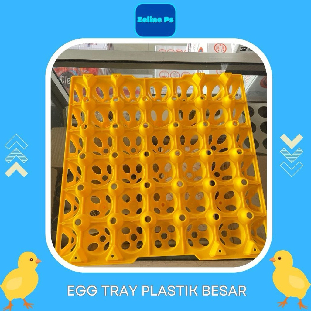 egg tray plastik besar Medion ori