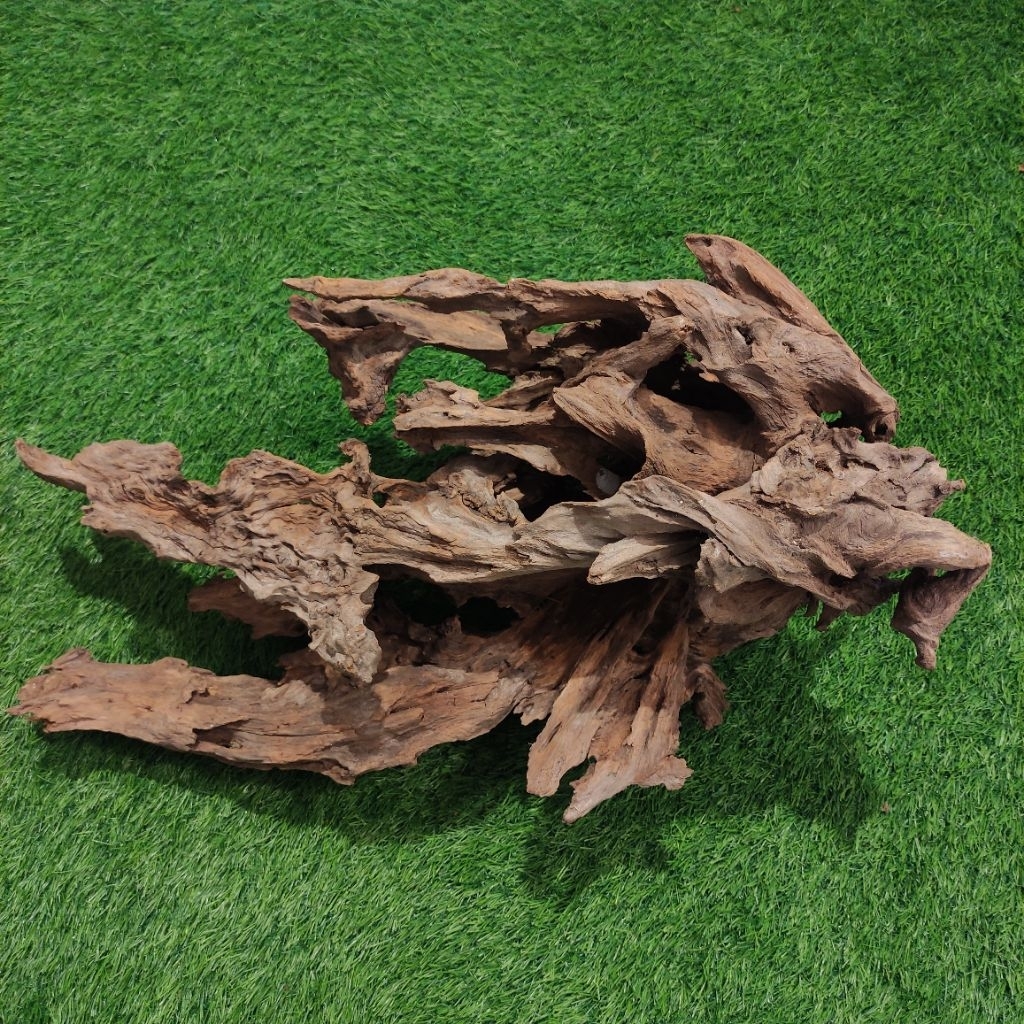 Kayu Rentek Aquascape Paludarium Motif Unik