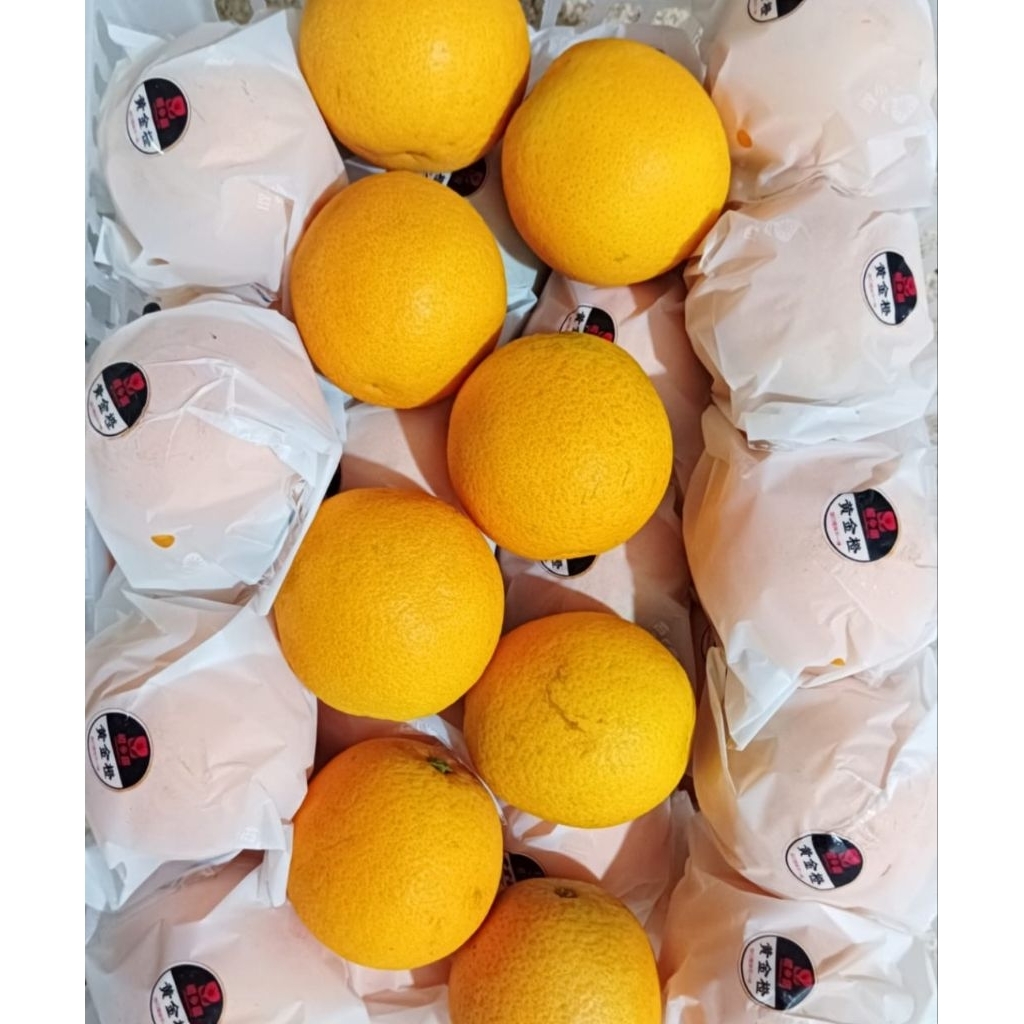 

Jeruk Wogam 1 keranjang 6,5 kg