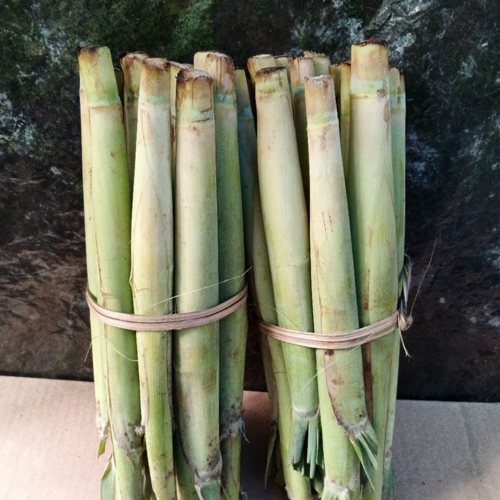 

Terubuk Sayur Tebu Telur 1 Ikat