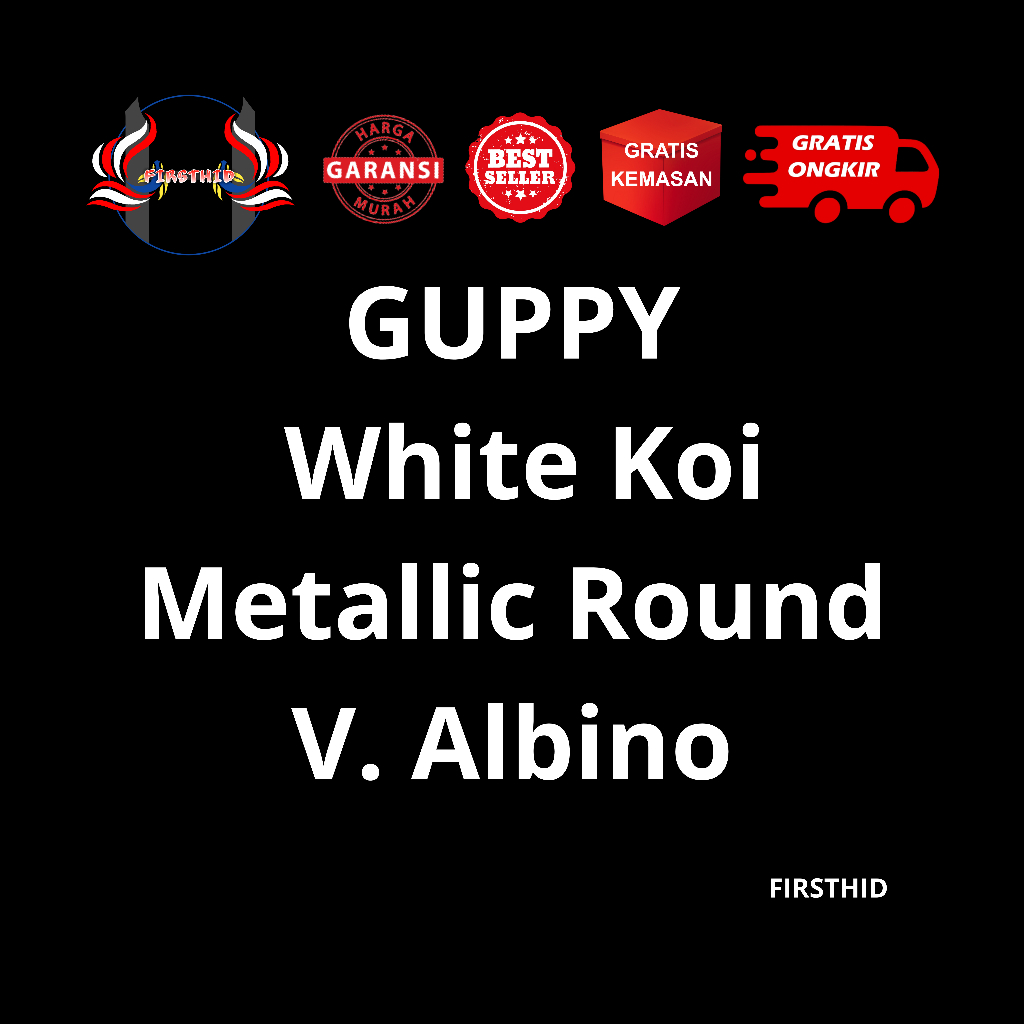 (BEST SELLER) Aksesoris Akuarium GUPPY Albino White Koi Metallic Blue gen carrier Swallow Ribbon