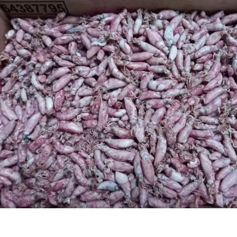 

cumi asin/cumi baby asin 1kg (berat 500gram x 2pcs)