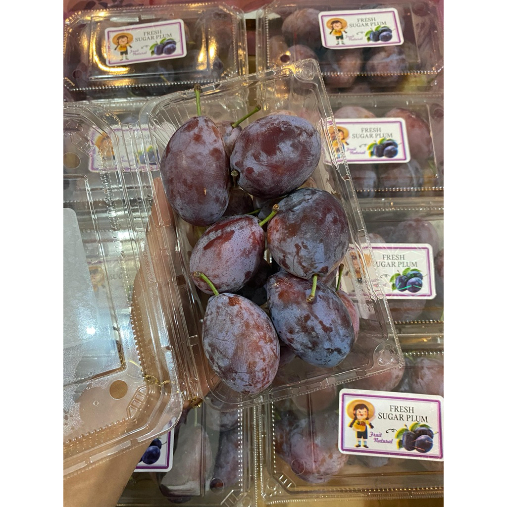 

Sugar Plum Fresh (Buah plum) pack 500gr