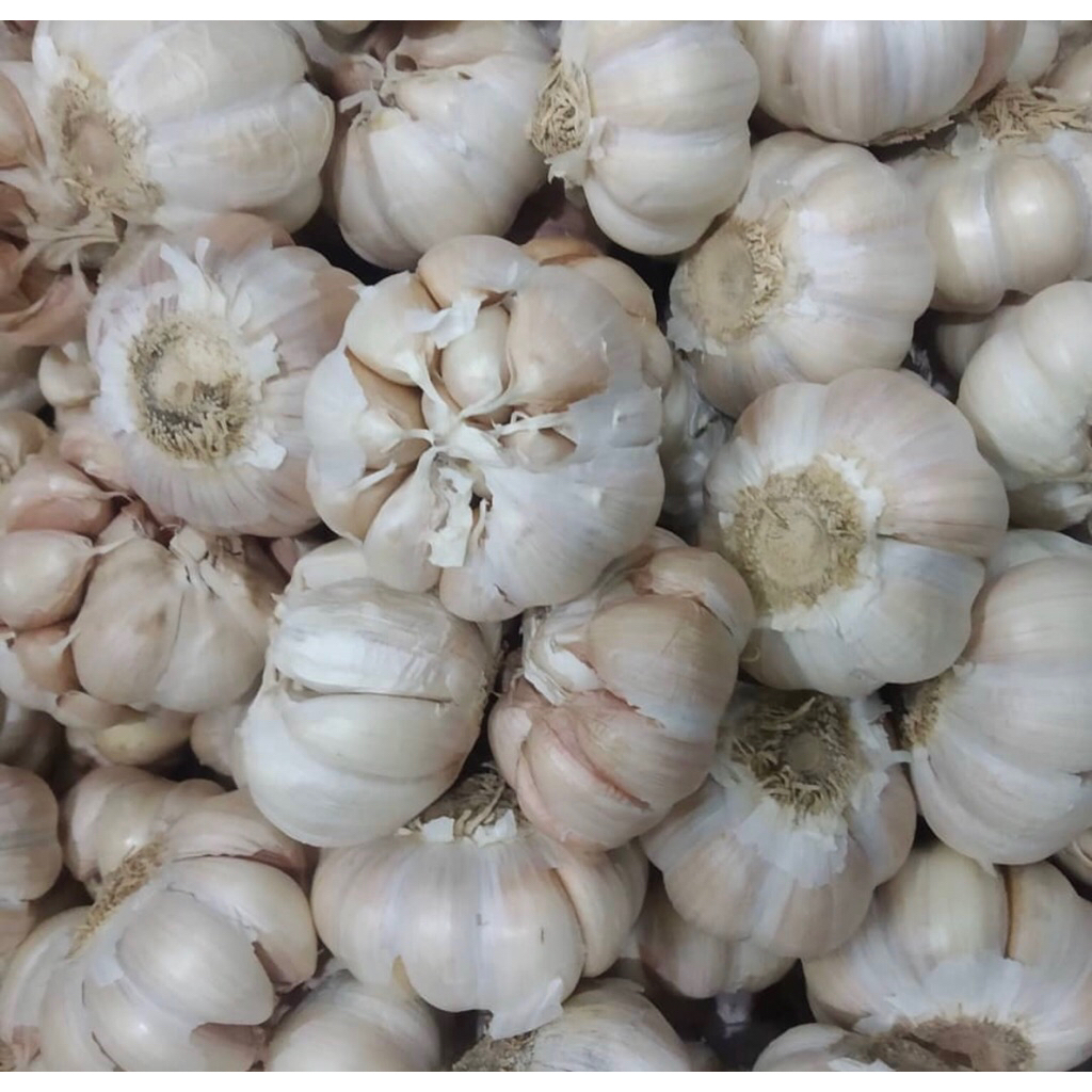 

GROSIRAN BAWANG PUTIH SUPER