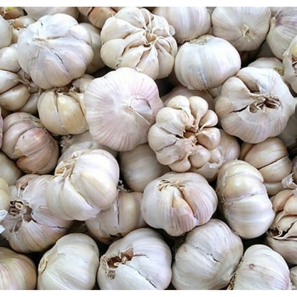 

2KG BAWANG PUTIH