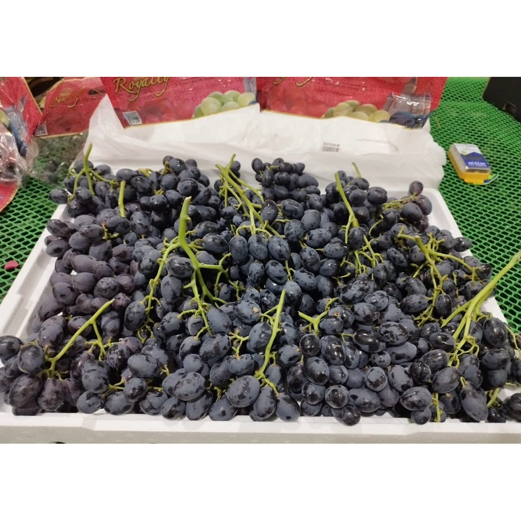 

Anggur USA 1 Dus (8.5 KG) Fresh Import