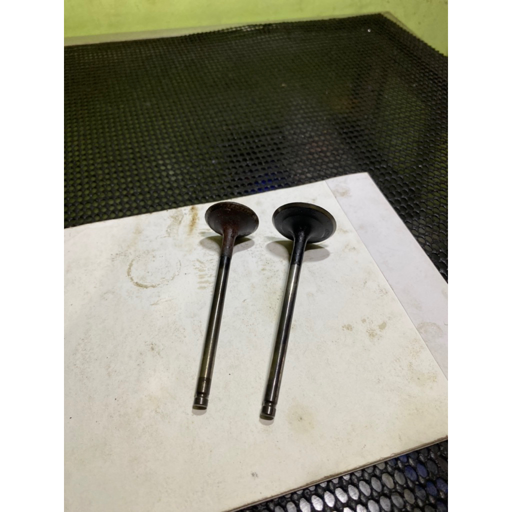 klep tiger ori copotan