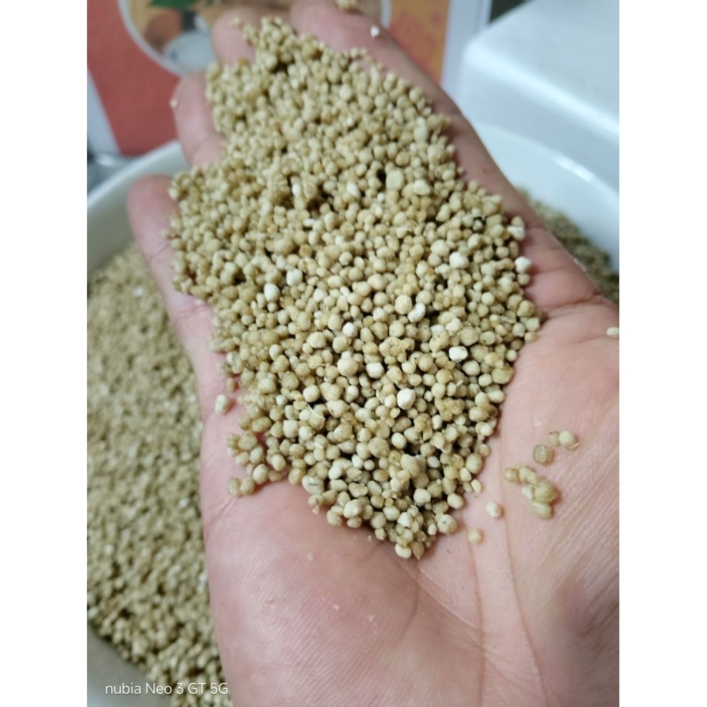 

nasi umbi / tiwul Lampung oyek lampung / tiwul super oyek super / tiwul instan oyek instan / nasi instan