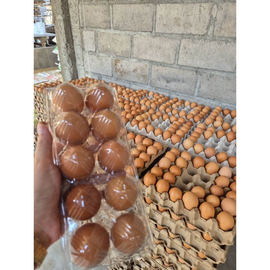 

Telur Premium 30 Butir