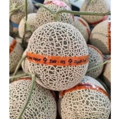 

Melon jepang red manis | buah melon jepang orange BRIX16 berat 1.3kg