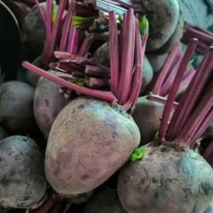 

Buah Bit 1 kg fresh beetroot