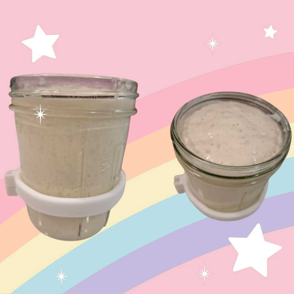 

Ragi Alami Super Aktiv / Active Dried Sourdough Starter / Sourdough Starter Kering