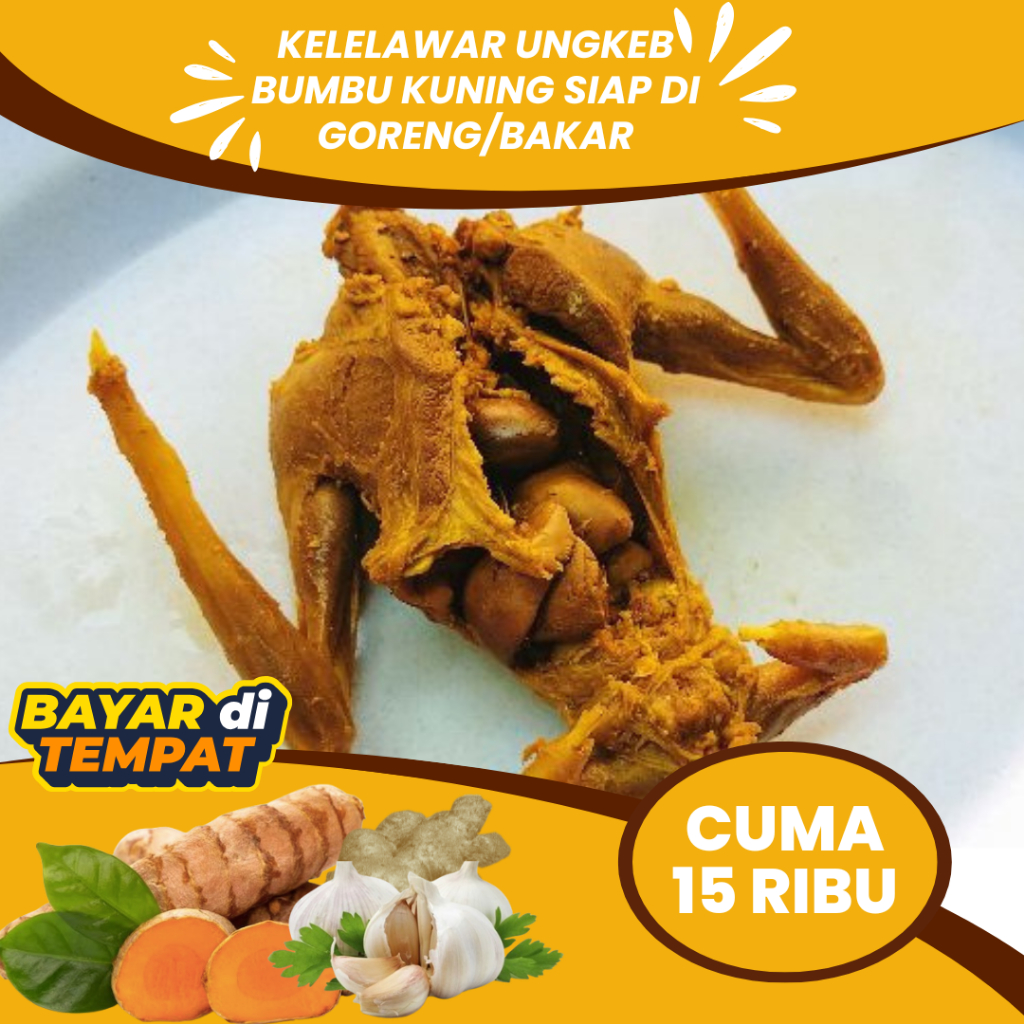 

DAGING KELELAWAR KELAPA ATAU CODOT UNGKEB SIAP GORENG DAN BAKAR- DAGING KELELAWAR BERHASIAT OBAT ASMA