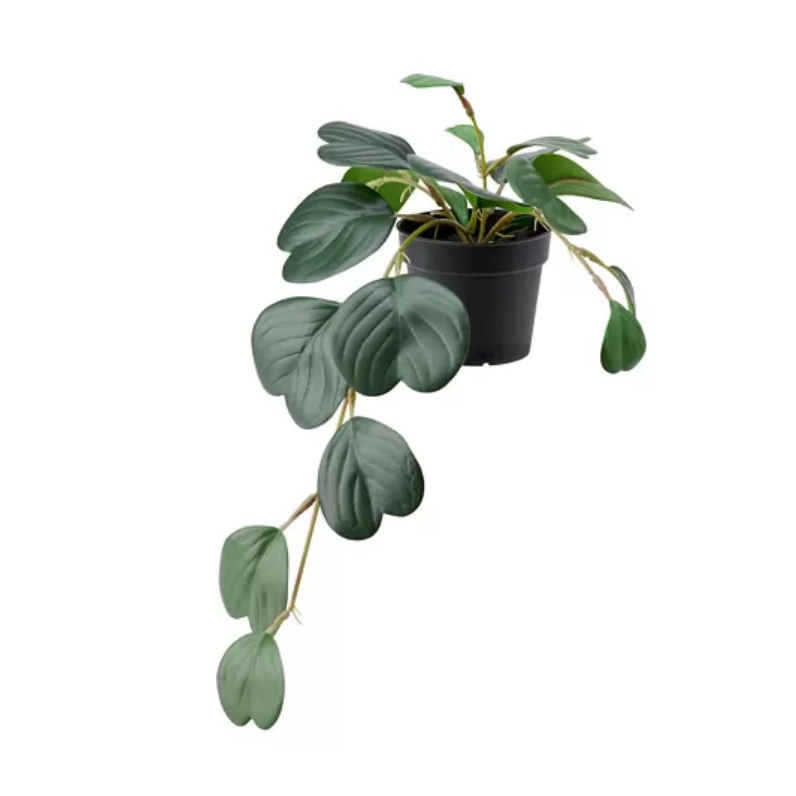 FEJKA Tanaman tiruan dalam pot, dalam/luar ruang digantung/peperomia