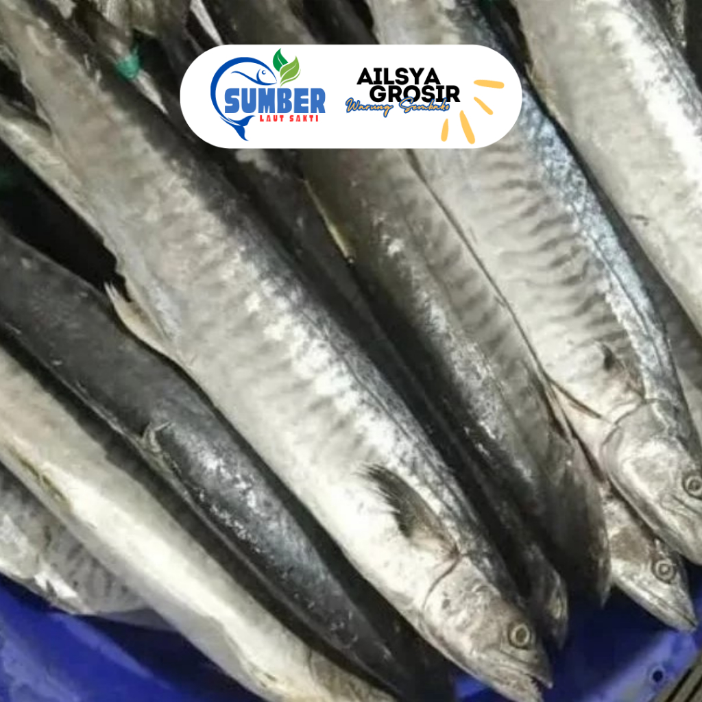 

IKAN TENGGIRI BESAR / JUMBO SUPER PREMIUM 1 KG