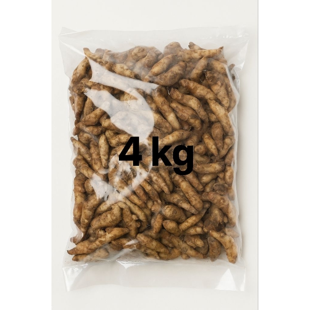 

Kencur rimpang besar / cikur seblak dan herbal 4kg
