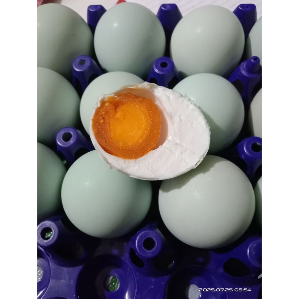 

telur asin masir gurih premium dari bebek pilihan