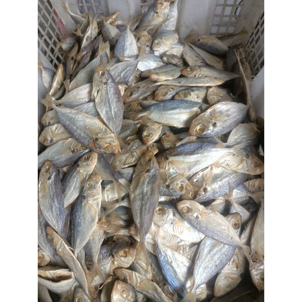 

ikan selar asin