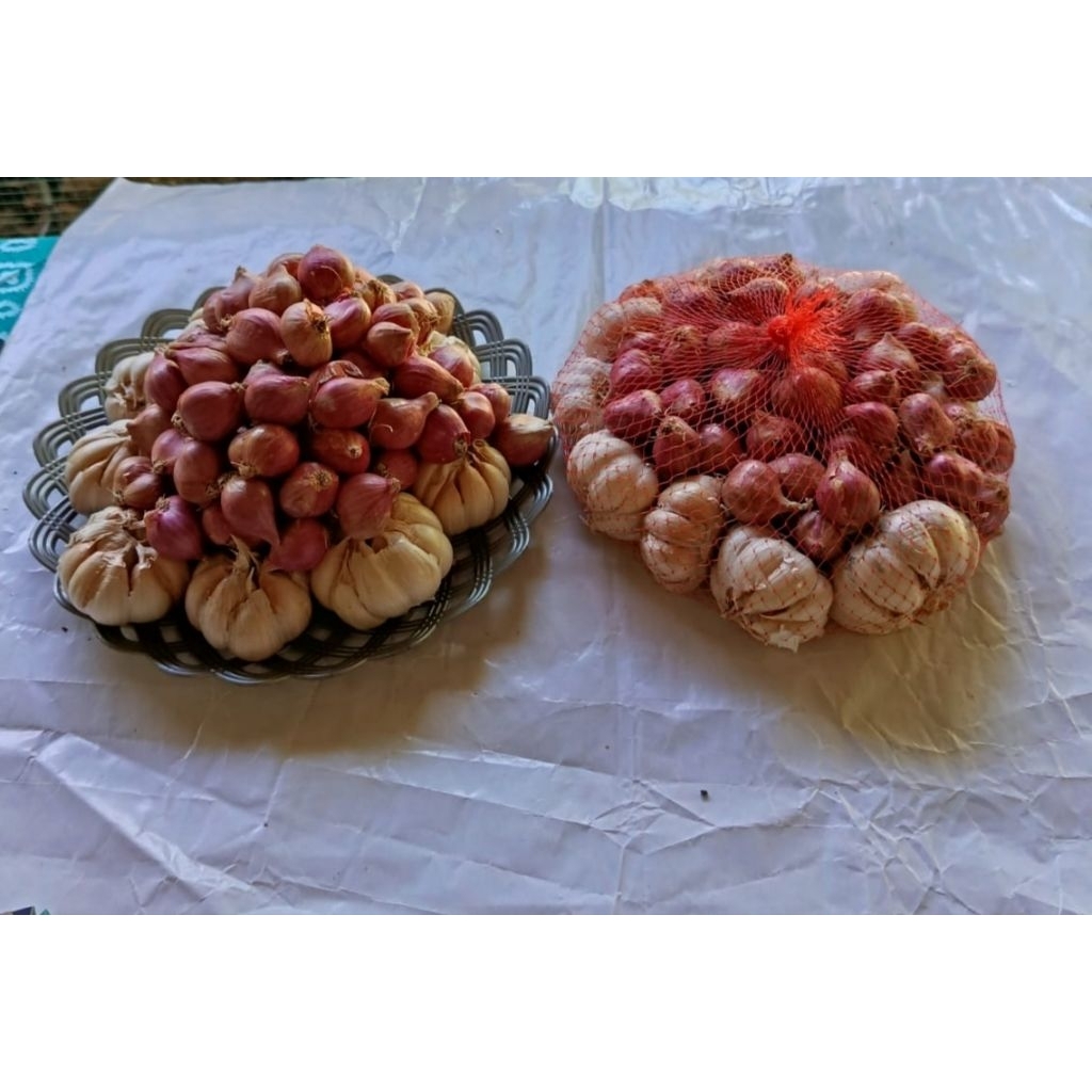 

Mix 1 kg (500 gr Bawang Merah Besar + 500 gr Bawang Putih)