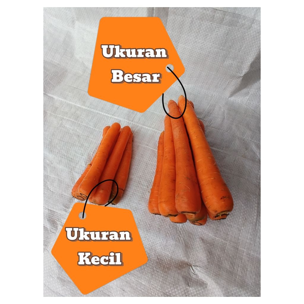 

Wortel Segar 1kg langsung dari gunungnya (mix)