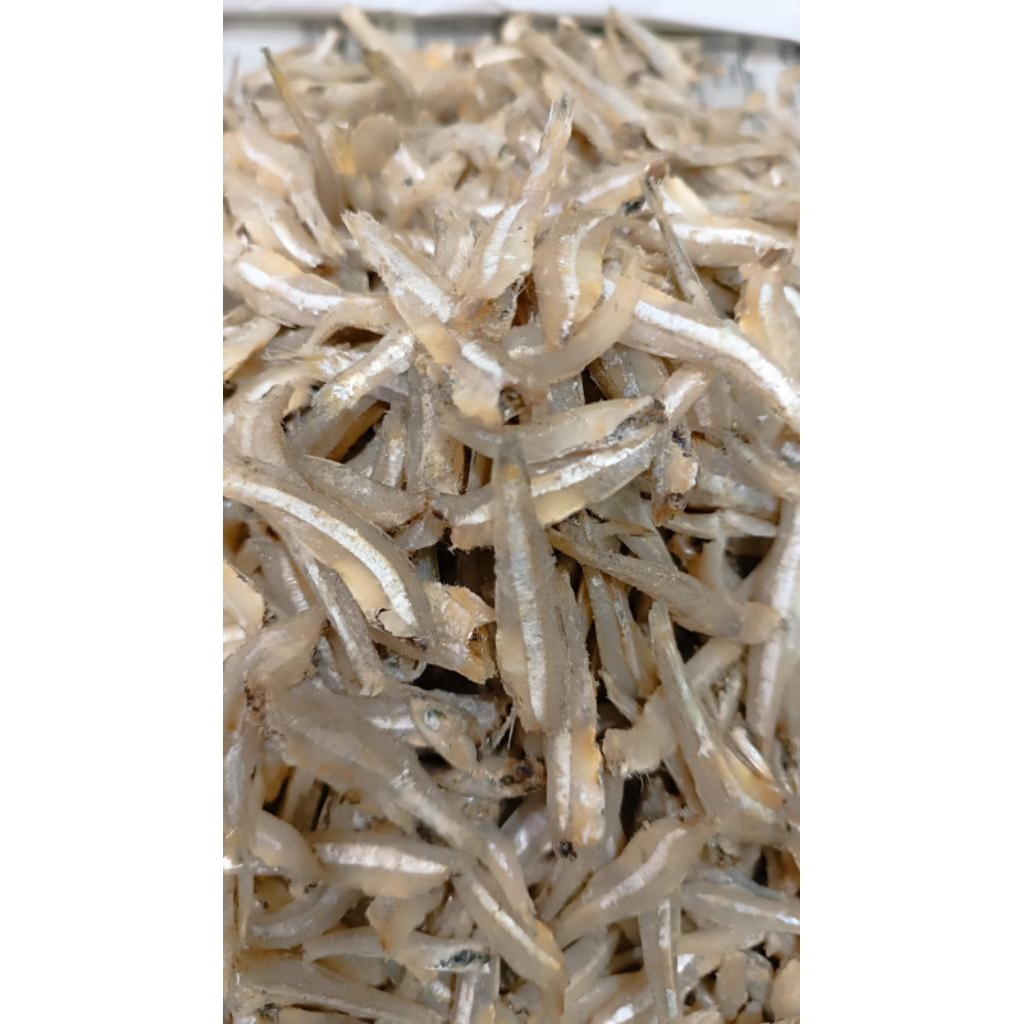 

Ikan Asin Teri Jengki Bulat