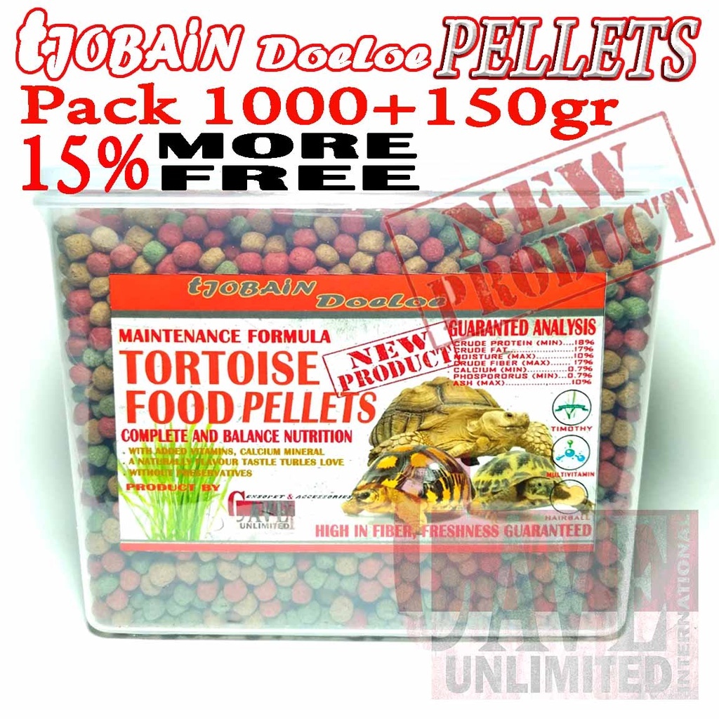 MAKANAN KURA-KURA DARAT PAKAN TORTOISE SULCATA ALDABRA PARDALIS INDIAN STAR CHERY HEAD FORSTENI BERN