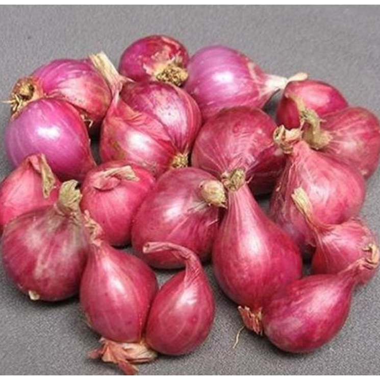 

Bawang Merah Jawa