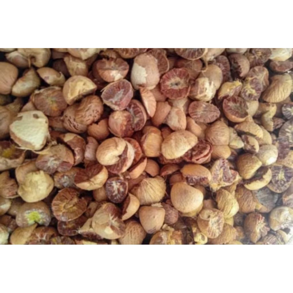 

BUAH PINANG KERING DARI LAMPUNG original