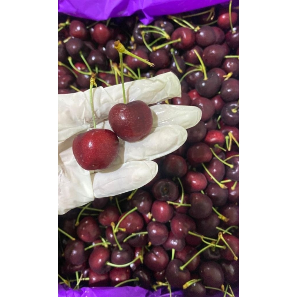 

Buah Cherry Segar Enak Manis