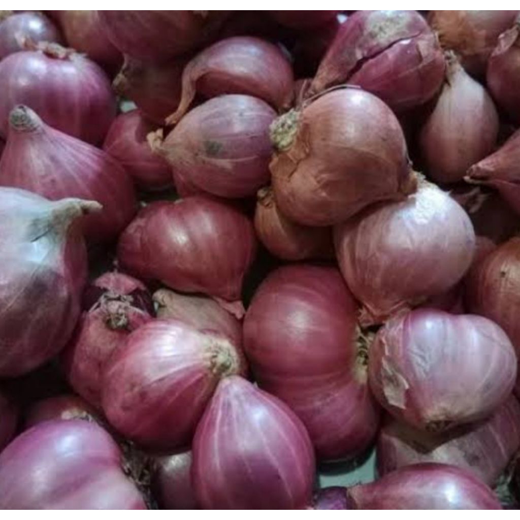 

bawang merah super premium 1kg