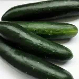 

Kyuri (Timun Jepang) - 500 gram